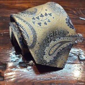 Robert Villini Elegant Paisley Silk‎ Tie